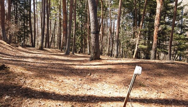 富士満願ビレッジファミリーキャンプ場